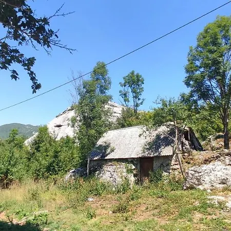 Kuk